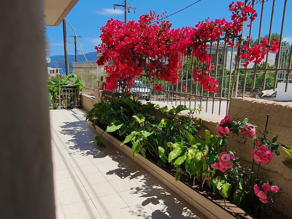 Villa photo 3