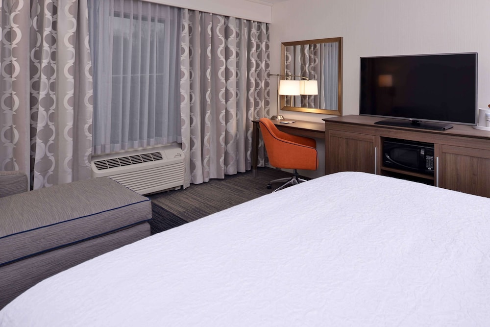 Room, 1 King Bed with Sofa bed, Accessible, Non Smoking photo 1