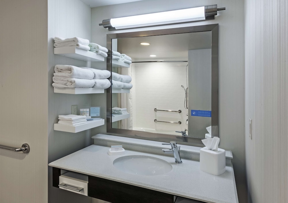 Room, 1 King Bed, Accessible, Bathtub (Mobility & Hearing) photo 3