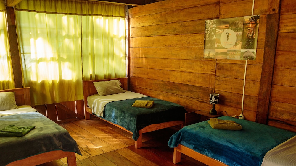 Traditional Room photo 3