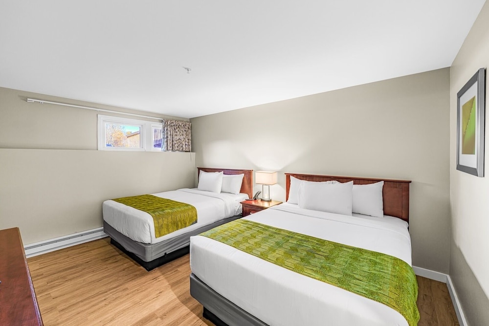 Basic Double Room photo 3