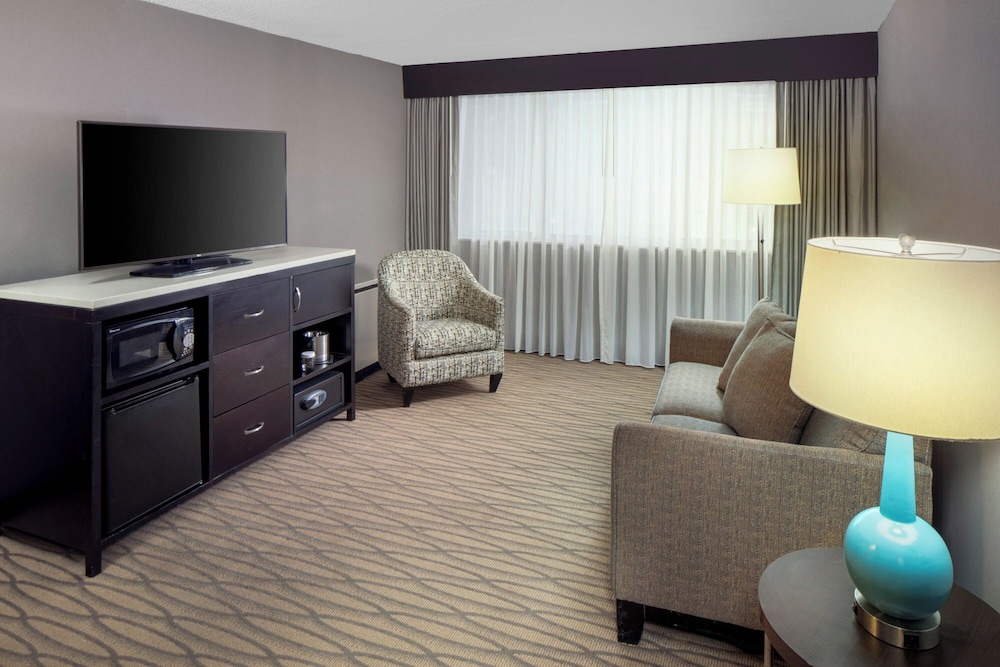 Suite, 1 King Bed, Non Smoking (1 Bedroom) photo 3