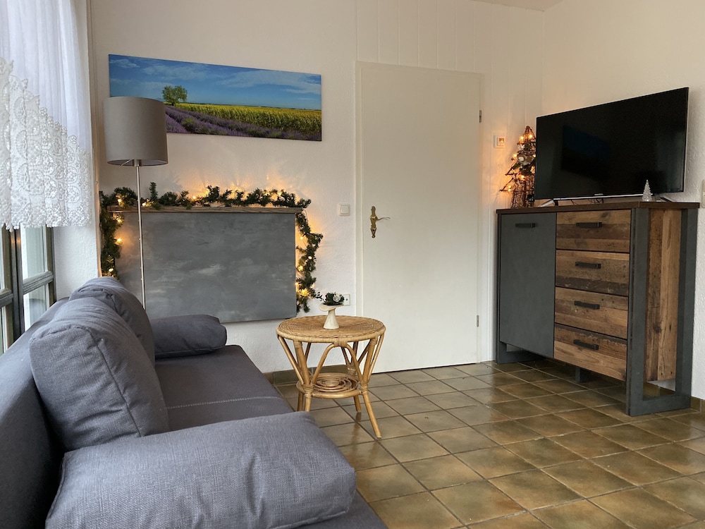 Classic Apartment, 1 Bedroom photo 3