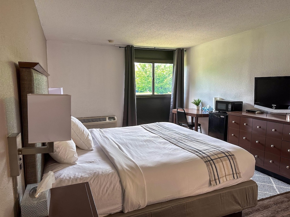 Deluxe Room, 1 King Bed, Non Smoking - Photo 1