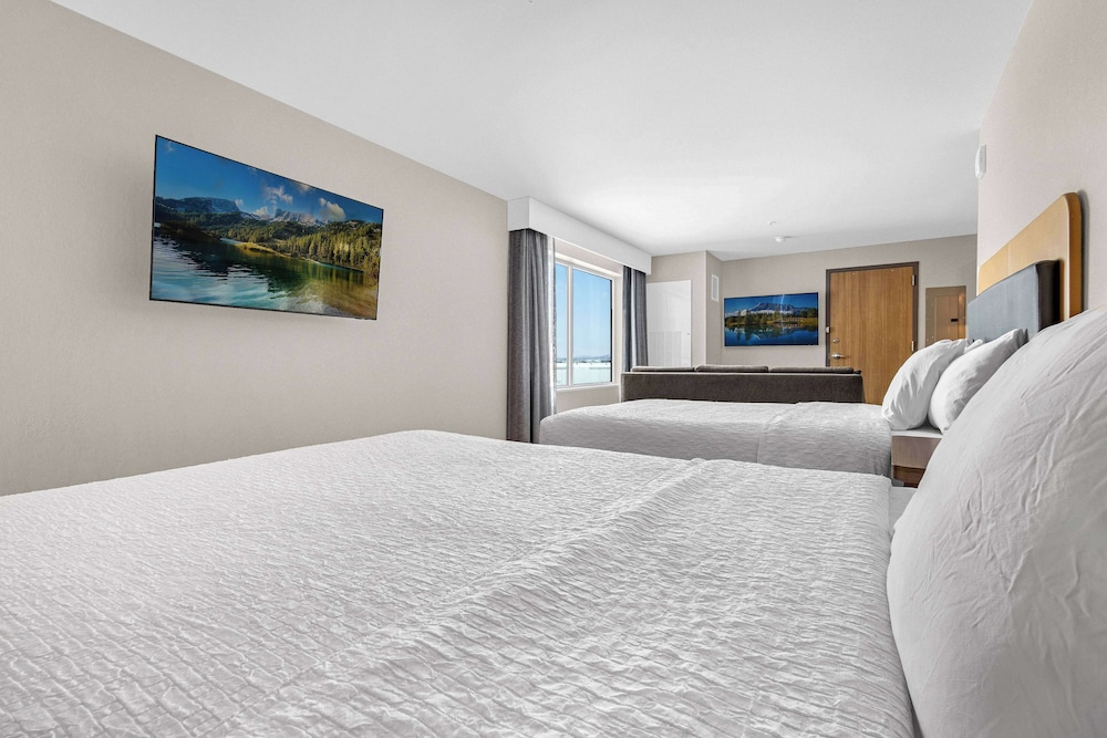 Studio Suite, 2 Queen Beds photo 1