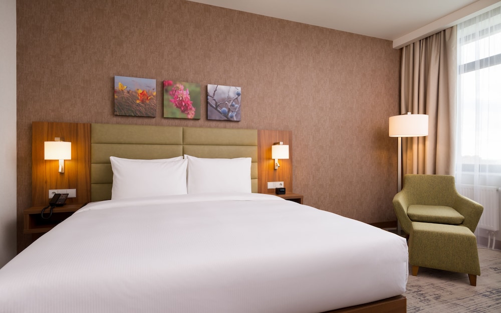 Room, 1 King Bed, Accessible photo 1