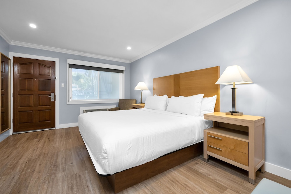 Deluxe Single Room, 1 King Bed - Photo 4