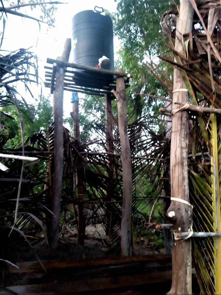 Basic Tree House photo 2