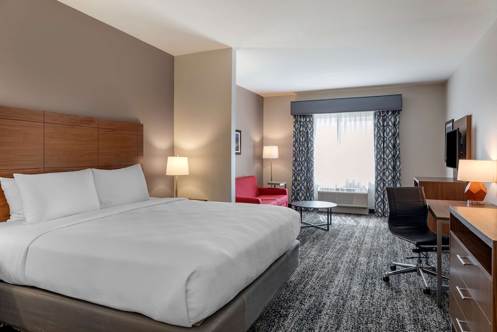 Suite, 1 King Bed, Accessible, Refrigerator & Microwave (with Sofabed) - Photo 2
