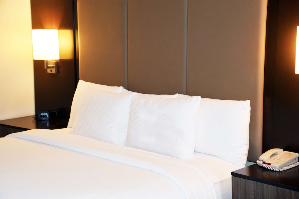 Suite, 1 King Bed (2 Room Suite) - Photo 1