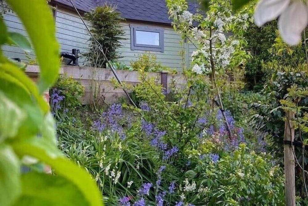 Standard Cabin, Garden View photo 3