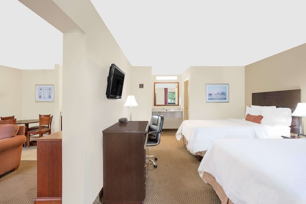 Suite - Photo 2