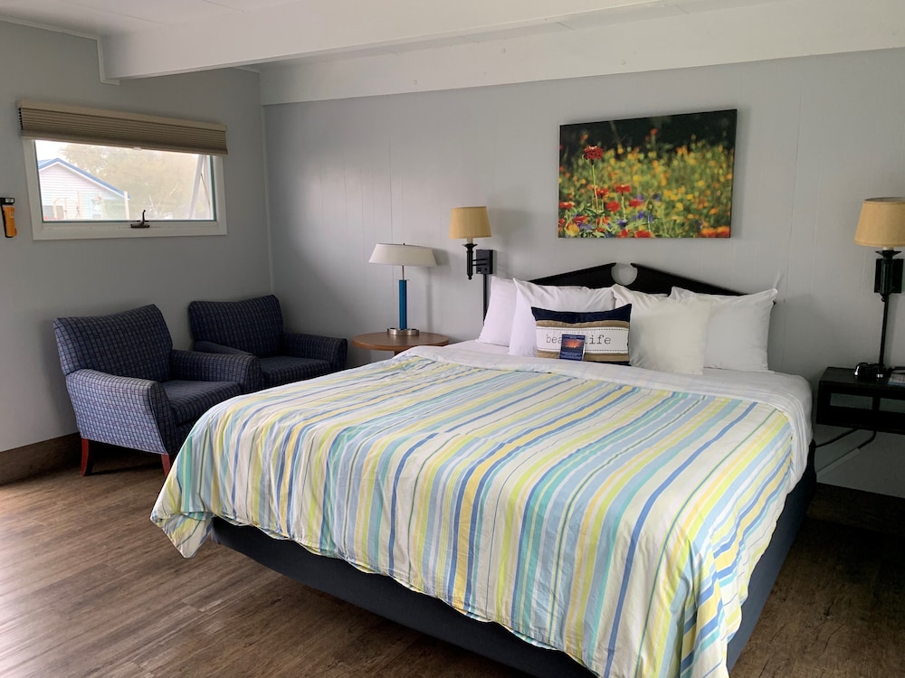 Traditional Room 113, Pet Friendly photo 3