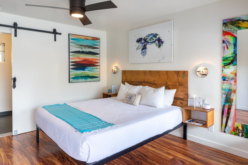 Basic Room, 1 King Bed, Accessible photo 2