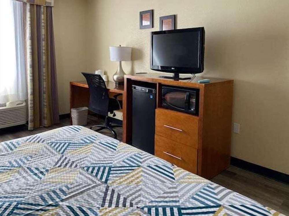 Deluxe Room, 1 King Bed, Non Smoking, Refrigerator & Microwave