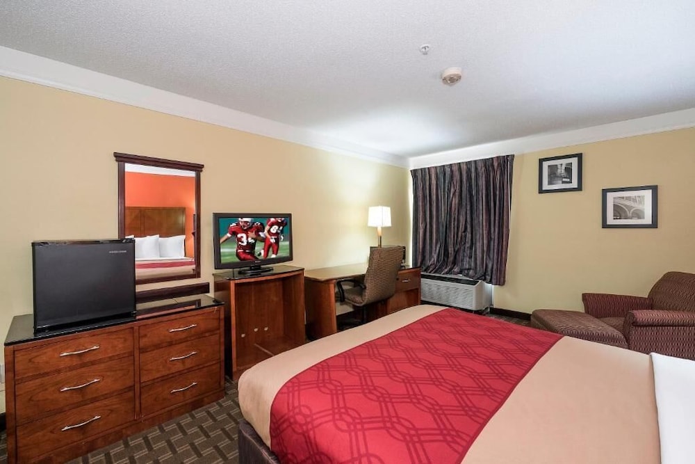 Basic Single Room photo 2