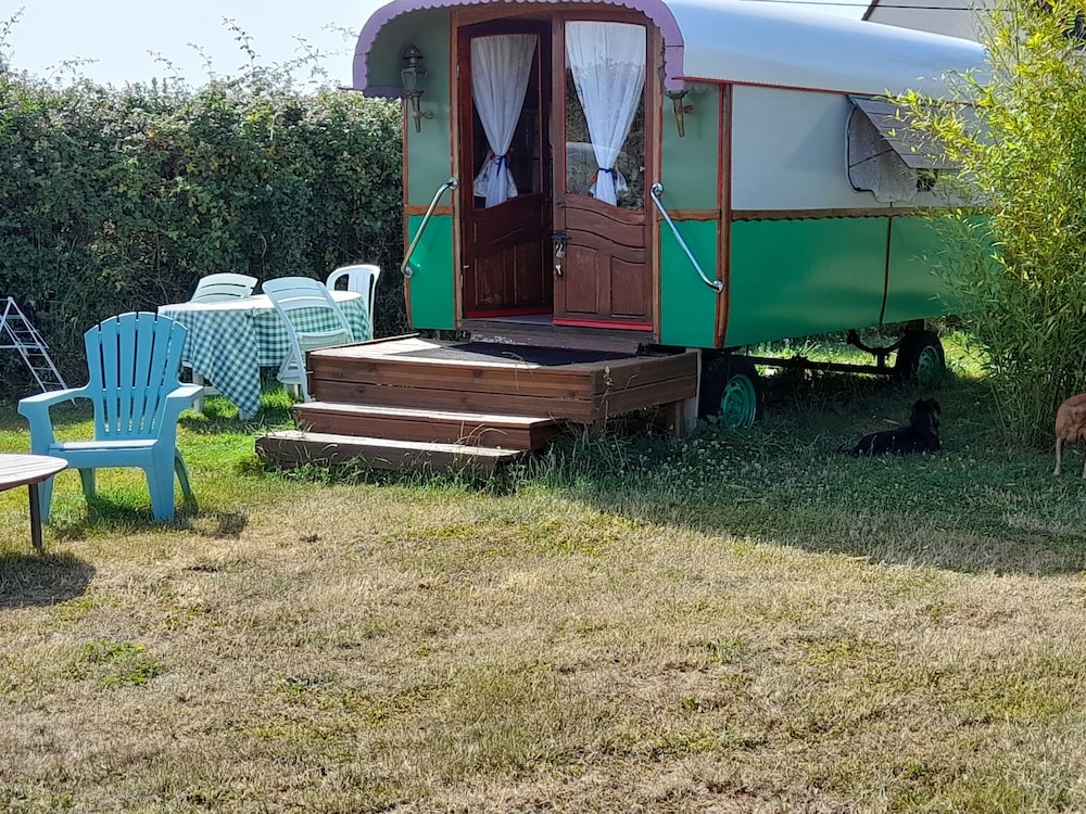 Classic Cabin, 1 Bedroom, Non Smoking, Park View photo 3