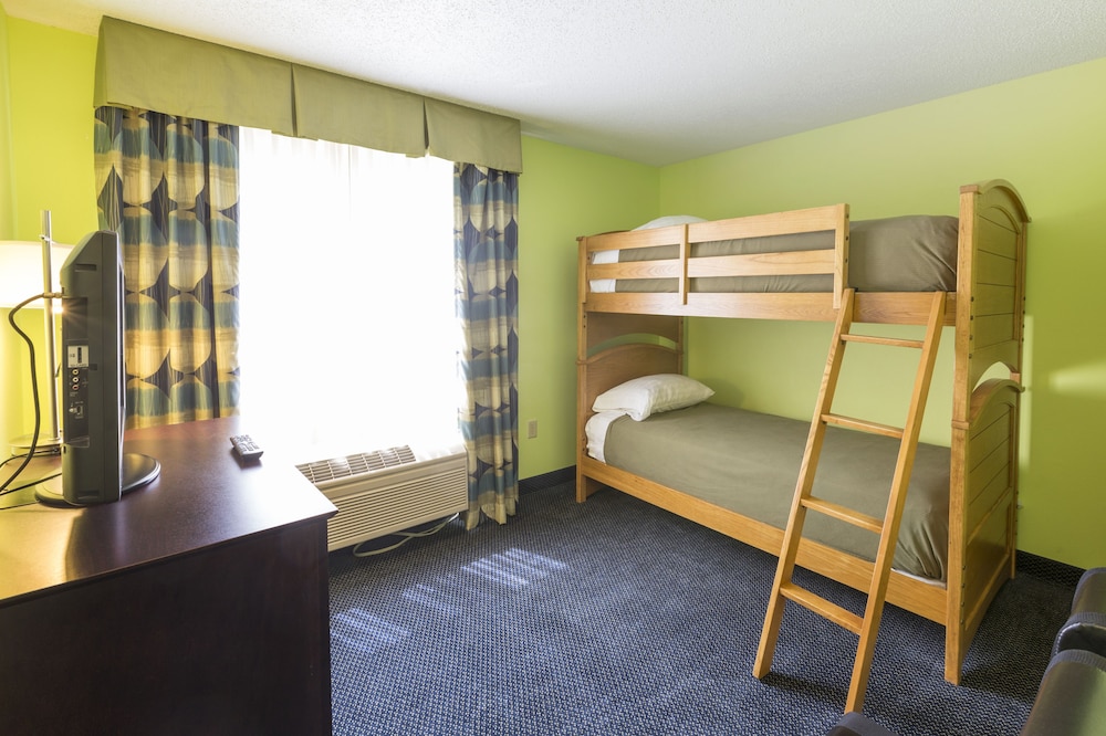 Suite, 1 Bedroom - Photo 1