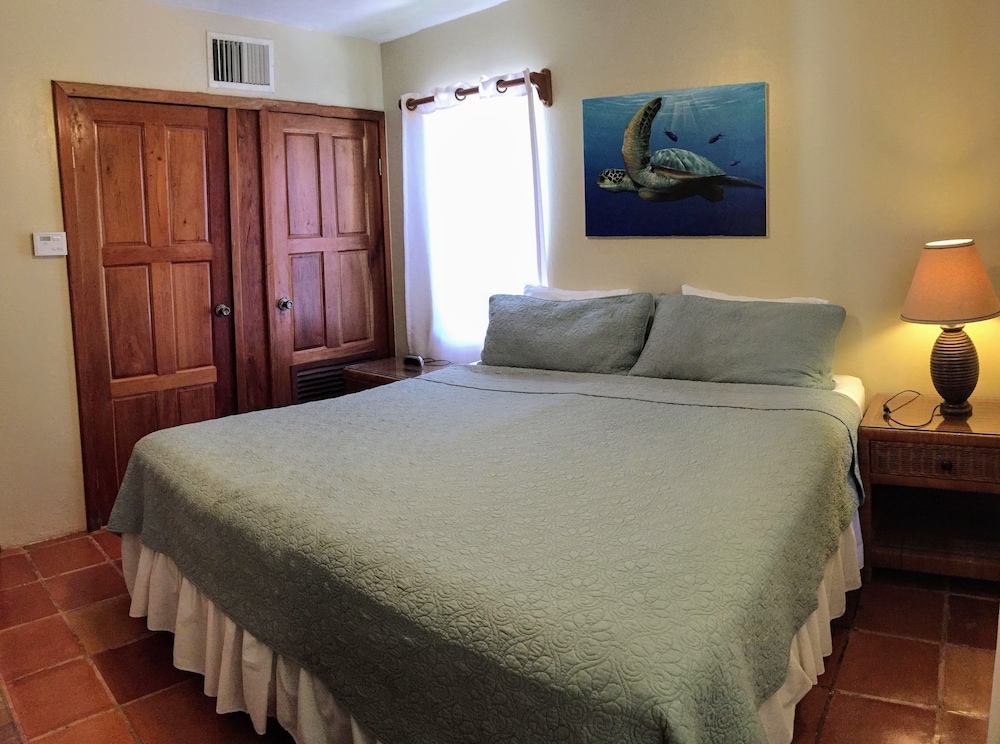 Villa, 1 King Bed with Sofa bed, Ocean View (1st Floor Beachfront) photo 1