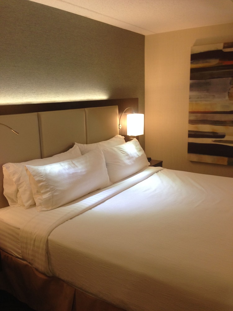 Standard Room, 1 King Bed, Accessible (Mobility, Roll-In Shower) - Photo 3