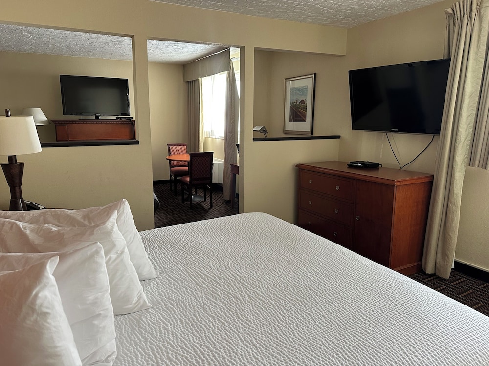 Deluxe Suite, 1 King Bed, Non Smoking - Photo 2