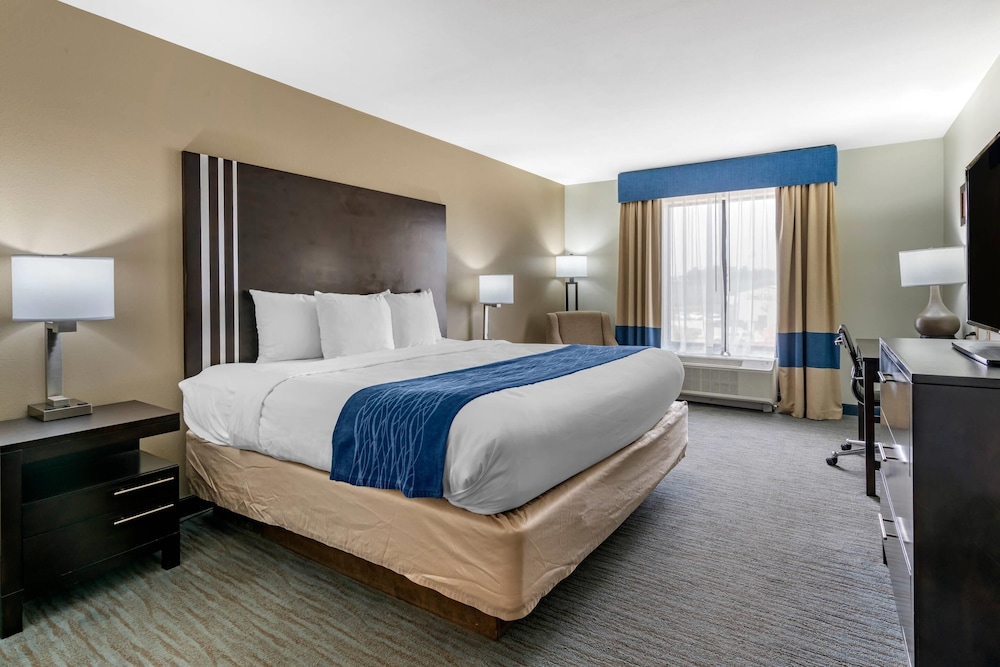 Room, 1 King Bed, Non Smoking (Pet Friendly) - Photo 1