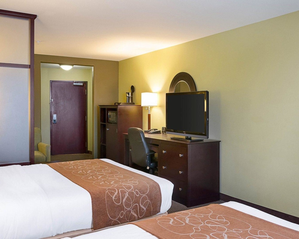 Studio Suite, Multiple Beds, Non Smoking photo 1