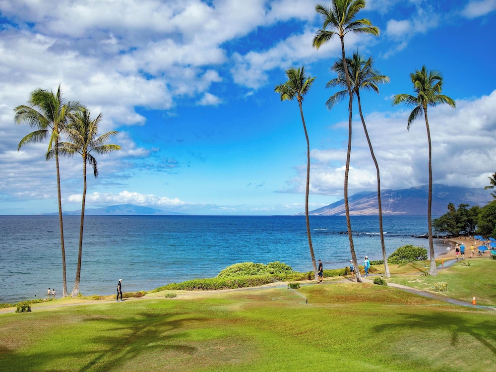 Condo, 2 Bedrooms, Oceanfront (1704) photo 3