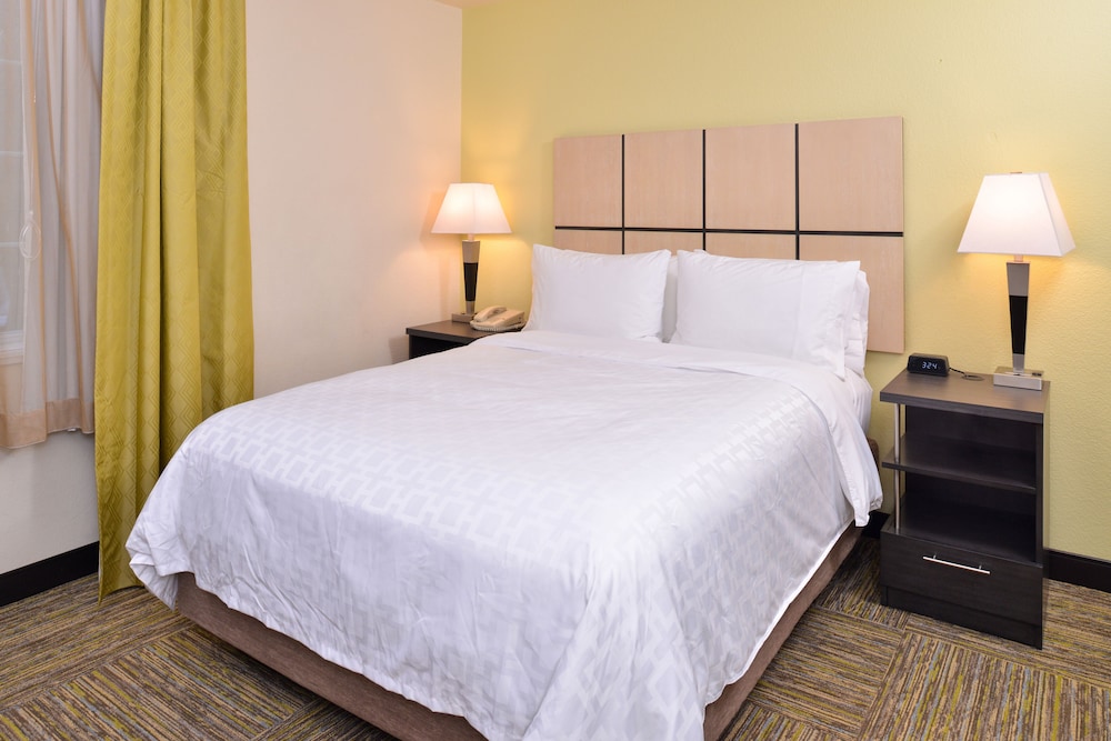 Studio Suite, 1 Queen Bed - Photo 4