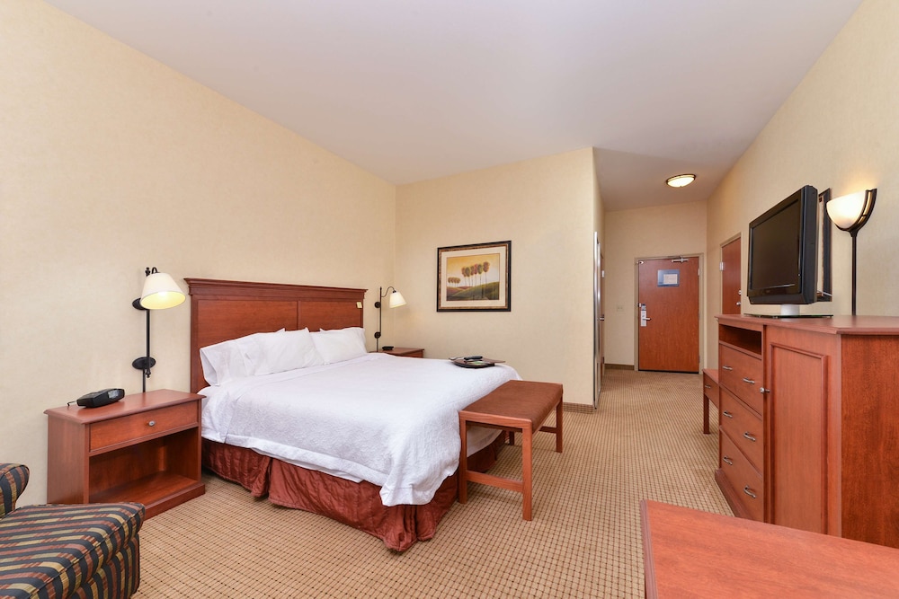 Room, 1 King Bed, Accessible, Bathtub (Mobility & Hearing) - Photo 3