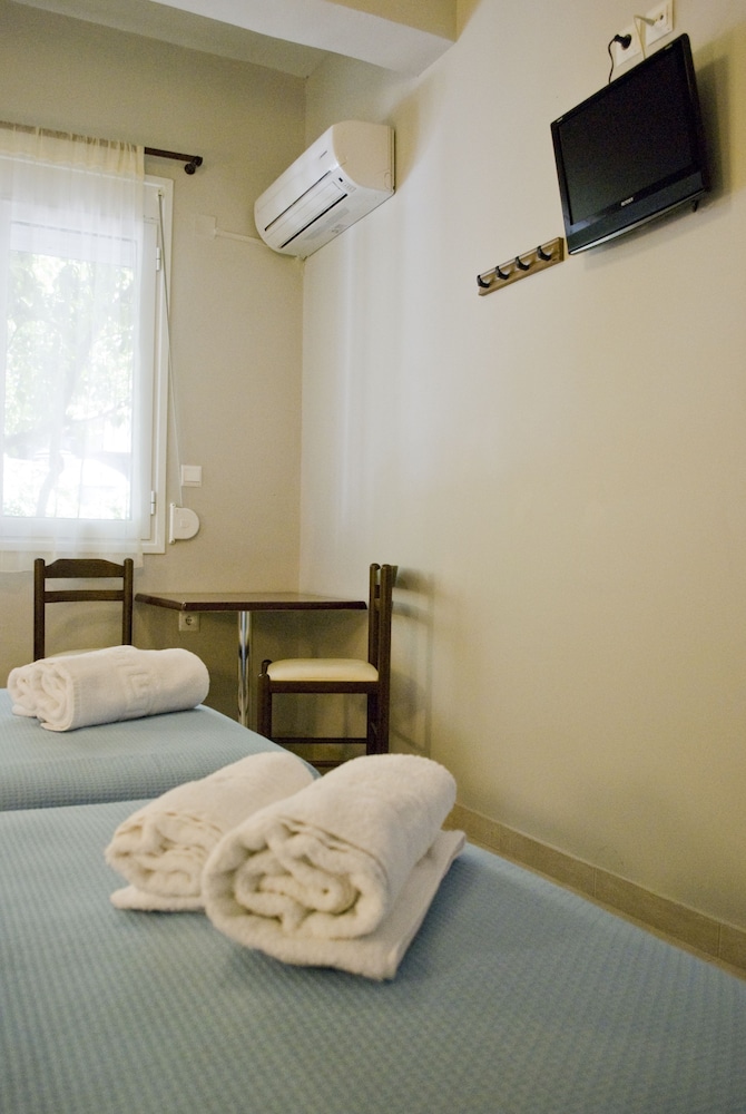 Single Room photo 1