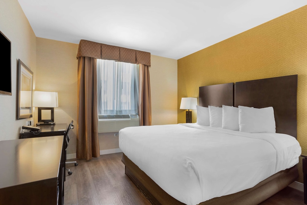 Standard Room, 1 King Bed, Non Smoking, Refrigerator