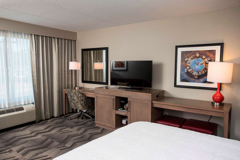 Room, 1 King Bed with Sofa bed, Non Smoking, Refrigerator photo 3