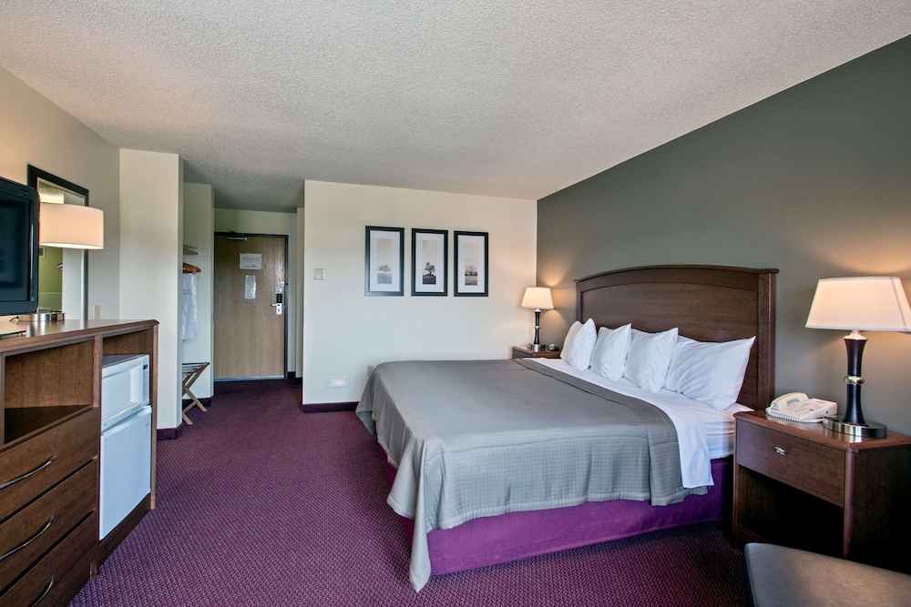Room, 1 King Bed, Non Smoking photo 1