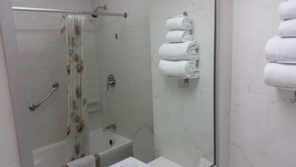 Superior Single Room photo 3