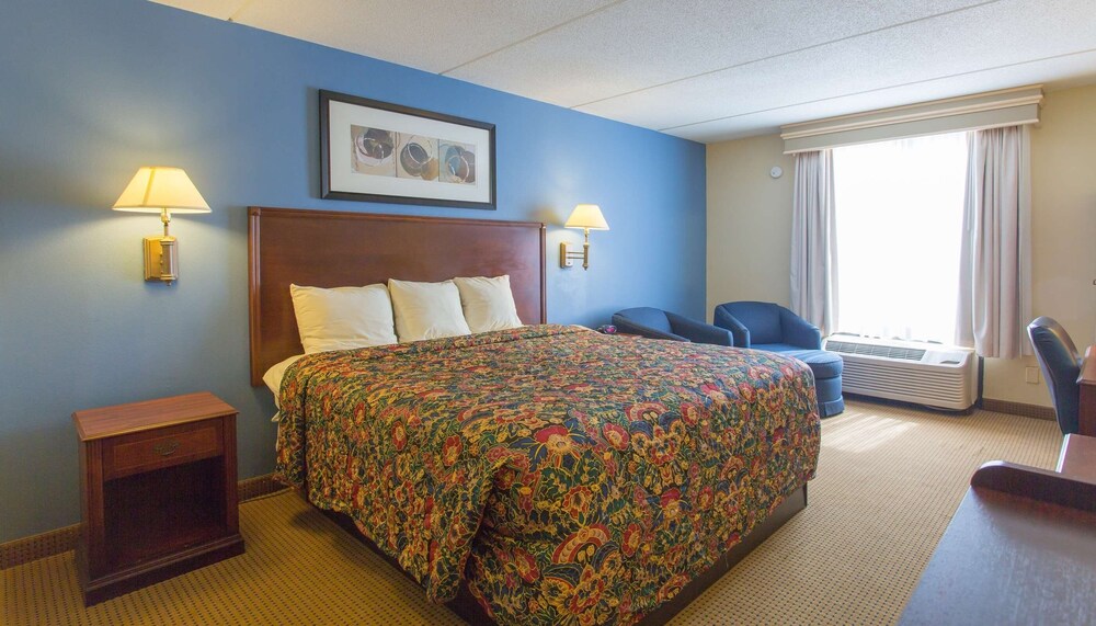 Room, 1 King Bed, Non Smoking, Refrigerator & Microwave photo 3