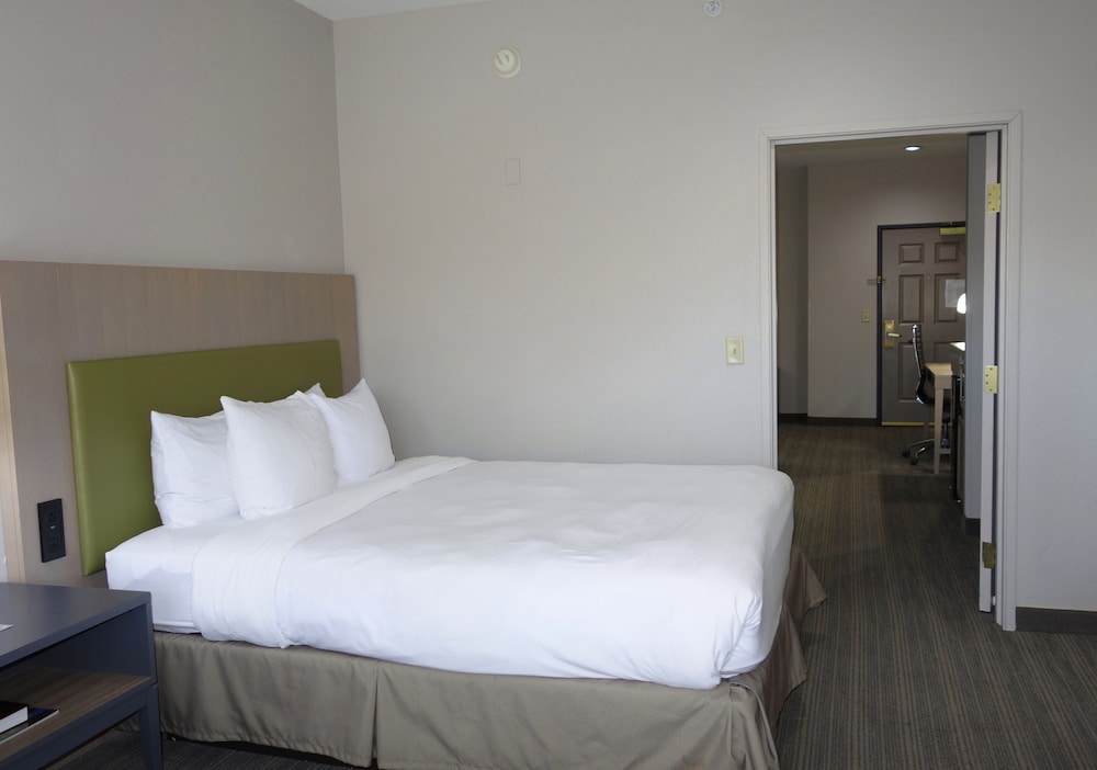 Suite, 1 Bedroom, Non Smoking - Photo 4