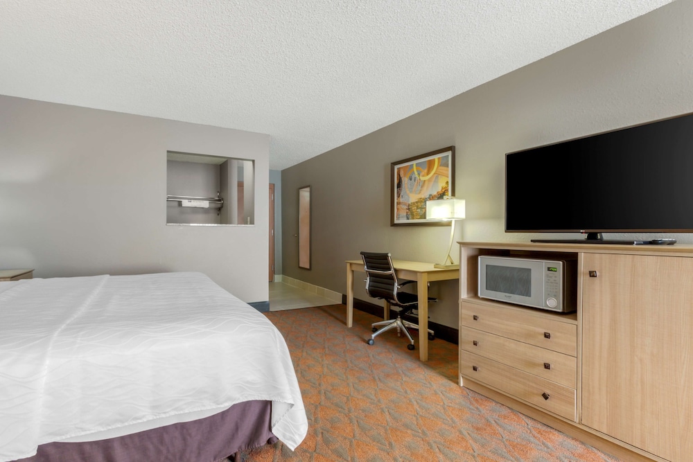 Standard Room, 1 King Bed, Accessible, Non Smoking (Walk-in Shower)