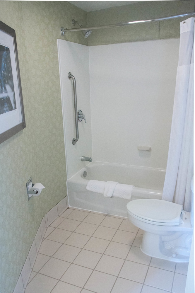 Studio, 1 King Bed with Sofa bed (Mobility/Hearing Accessible, Tub) photo 2