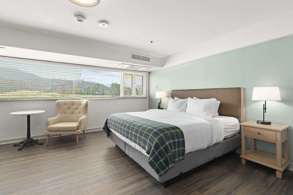 Studio Suite, 1 King Bed - Photo 3