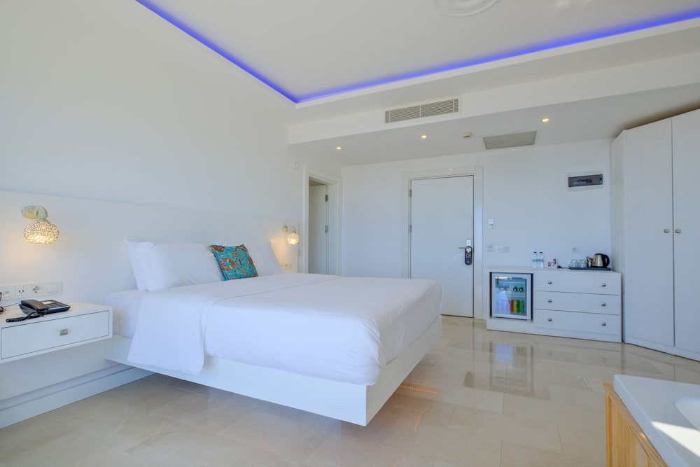 Deluxe Double with Bathtub - Photo 7