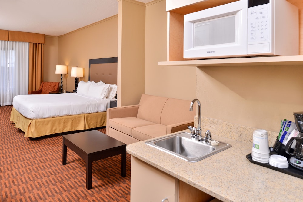 Suite, 1 Bedroom (1 Kng, Sofa Bed, Bth Shwr) - Photo 1