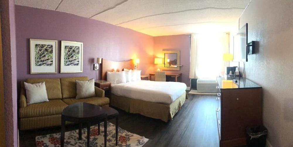 Business Single Room, 1 Double Bed, Non Smoking photo 1