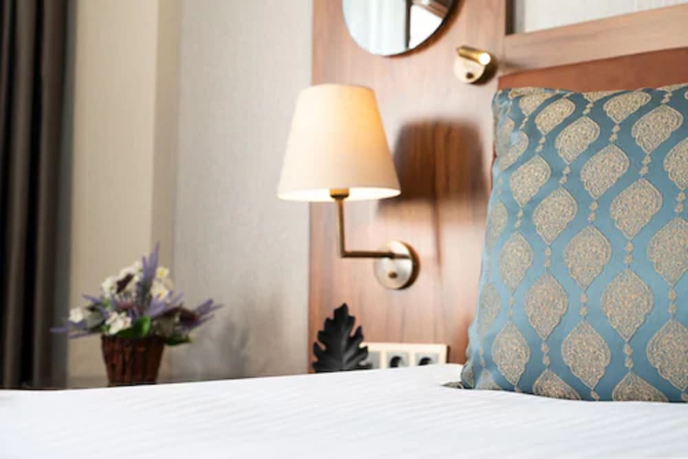 Deluxe Double or Twin Room photo 2