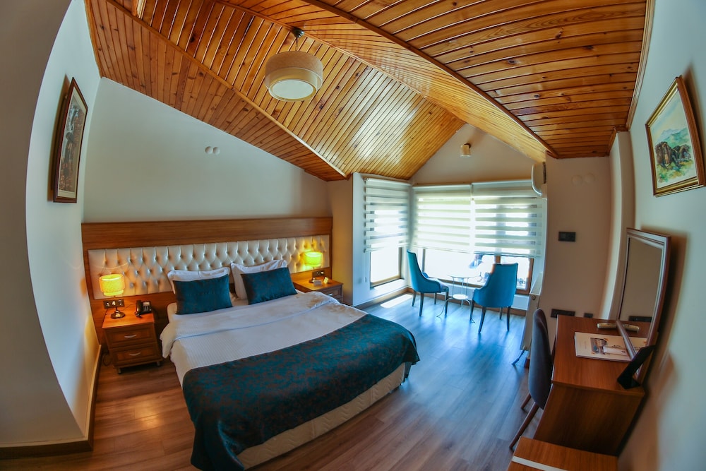 Standard Twin Room, Mountain View photo 3