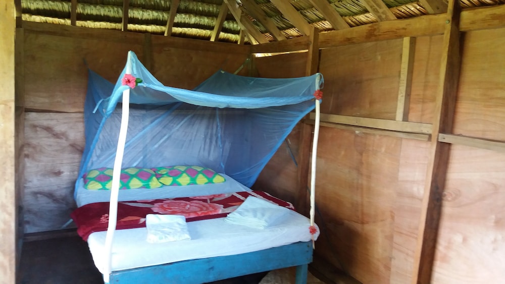 Premium Tree House photo 1
