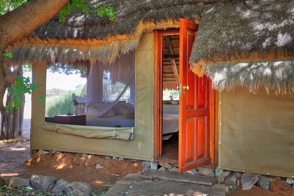 Luxury Tent photo 2