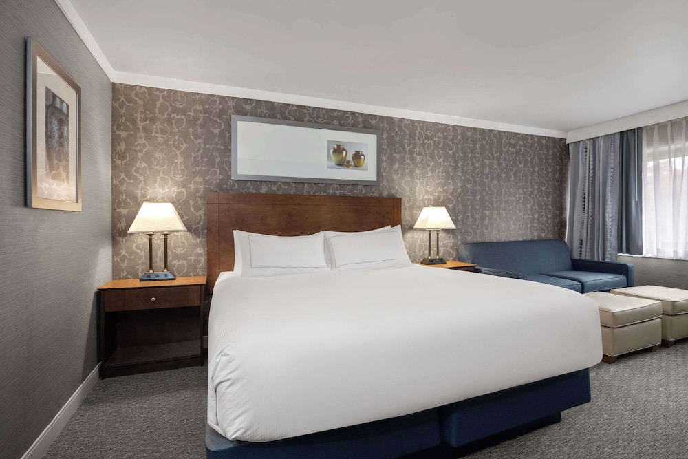 Room, 1 King Bed with Sofa bed, Non Smoking photo 1