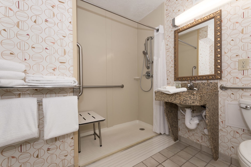 Standard Room, 1 King Bed, Accessible (Mobility Tub) - Photo 4