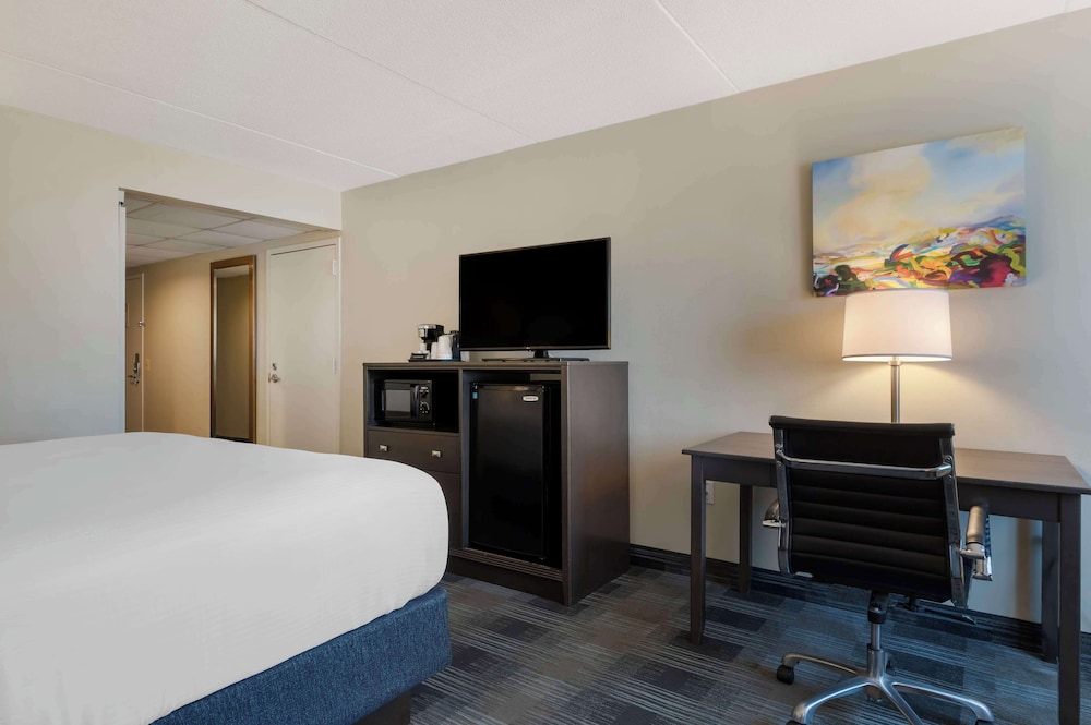 Standard Room, 1 King Bed, Accessible, Refrigerator & Microwave - Photo 1